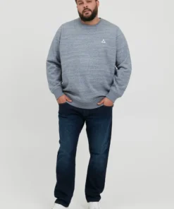 Crewneck Truien Trui BT Henry Heren Lichtblauw 10 Crewneck Truien Trui BT Henry Heren Lichtblauw -Aanbiedingen Koud Stijl Winkel 0ff5e4f4bc4e05822868d1b4be8b9c25 scaled