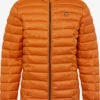 Blend Tussenjassen Tussenjas Heren Oranje -Aanbiedingen Koud Stijl Winkel 15c40574189b24efad4afaa0ecfaeee3 scaled