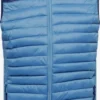 Blend Bodywarmers Bodywarmer Heren Navy / Lichtblauw -Aanbiedingen Koud Stijl Winkel 1afd3dd582d5d97dc0d69c2ead1a228c scaled