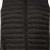 Bodywarmers Bodywarmer Heren Zwart -Aanbiedingen Koud Stijl Winkel 1bb0ea4e34c4a3a2c826bc0cb1f318f2 scaled