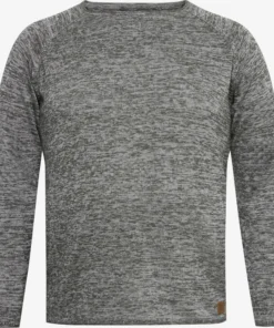 Crewneck Truien Trui BT DAN Heren Grijs