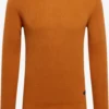 Blend Crewneck Truien Trui Codford Heren Karamel -Aanbiedingen Koud Stijl Winkel 244d248e0c0b655eed01290da56cbd9b scaled