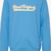 Blend Crewneck Truien Trui Heren Hemelsblauw 1 Blend Crewneck Truien Trui Heren Hemelsblauw -Aanbiedingen Koud Stijl Winkel 2ab0e3c731e2de267cbb030e9fda5f45 scaled