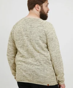 Crewneck Truien Trui BT DAN Heren Beige 11 Crewneck Truien Trui BT DAN Heren Beige -Aanbiedingen Koud Stijl Winkel 36cd2618a6f8c977efb87a74043738b8 scaled