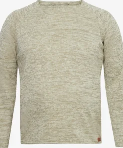 Crewneck Truien Trui BT DAN Heren Beige