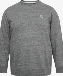 Crewneck Truien Trui BT Henry Heren Grijs