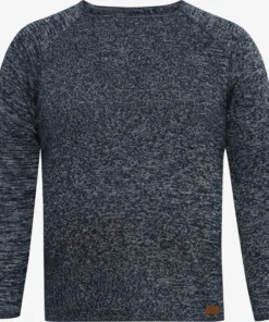 Crewneck Truien Trui BT DAN Heren Blauw