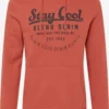 Blend Hoodies Sweatshirt Heren Roestrood -Aanbiedingen Koud Stijl Winkel 9c980dd7f408363554ca6af6b12ddc74 scaled