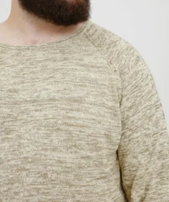 Crewneck Truien Trui BT DAN Heren Beige 12 Crewneck Truien Trui BT DAN Heren Beige -Aanbiedingen Koud Stijl Winkel cab1ef3e9282dd85e79e0ed63927268a scaled