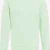 Blend Sweatshirts Sweatshirt Heren Mintgroen -Aanbiedingen Koud Stijl Winkel f9d38ab4dd9ed43b9adfcd5152da34f4 scaled