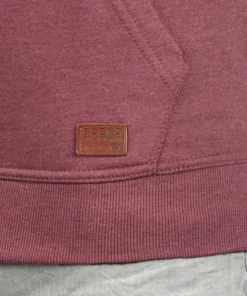 Blend Sweatvesten Met Capuchon Sweatvest Speedy Heren Lila -Aanbiedingen Koud Stijl Winkel fe9538d1725e02be2f1868e75d69bf1b scaled